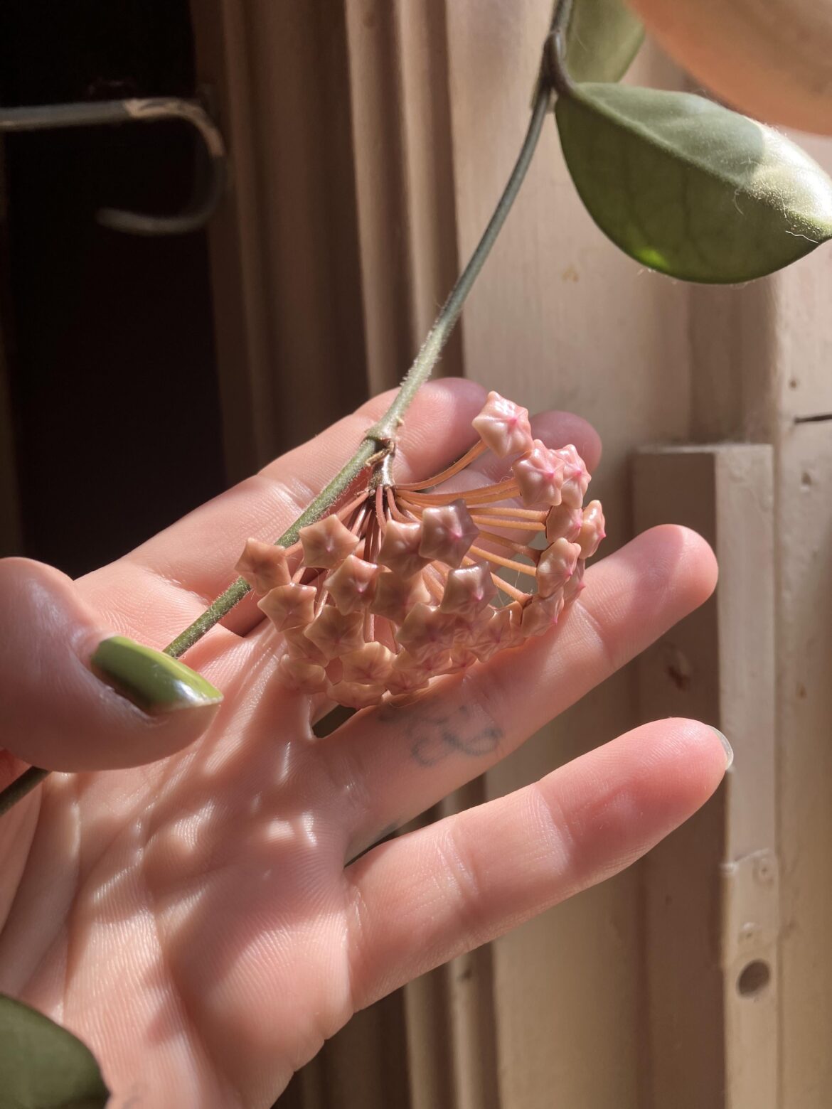 IT’S FINALLY HAPPENING OMG