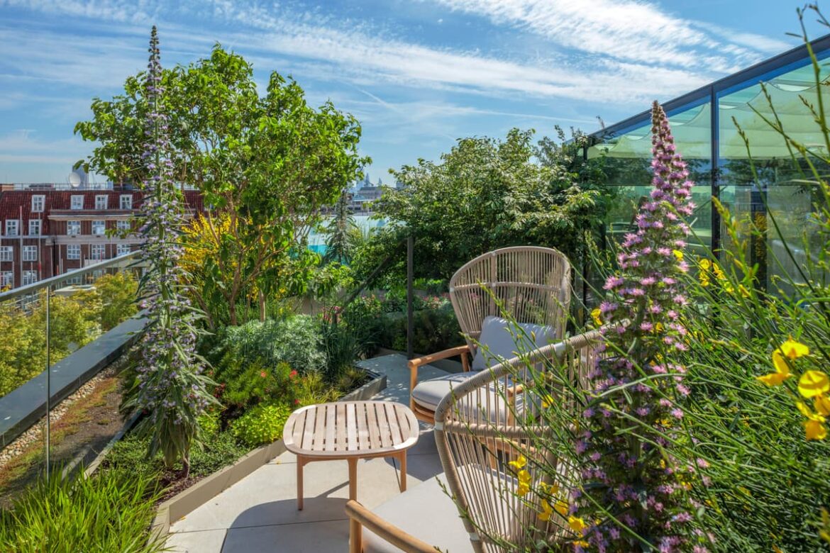 Tiny London garden ideas: mirrors, large plants — and black painted fences