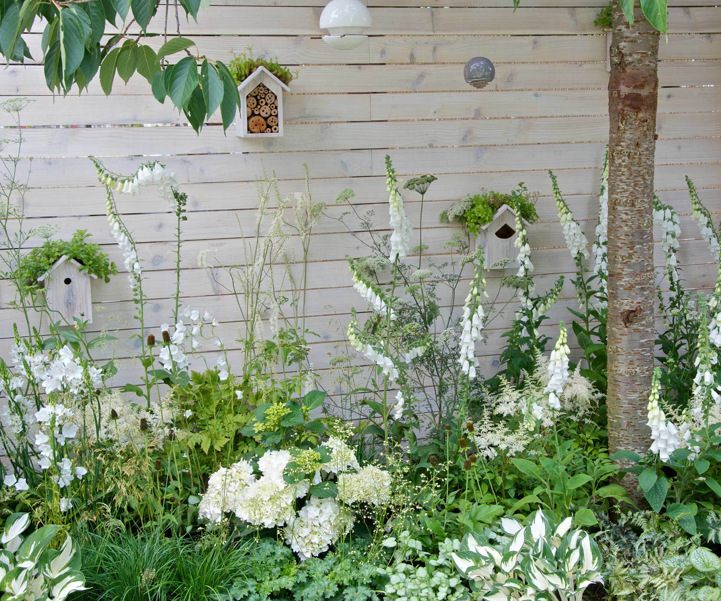 white fence with planting and bird boxes at Living Landscapes: City Twitchers Garden designed by Sarah Keyser at RHS Hampton Court Palace Flower Show 2015