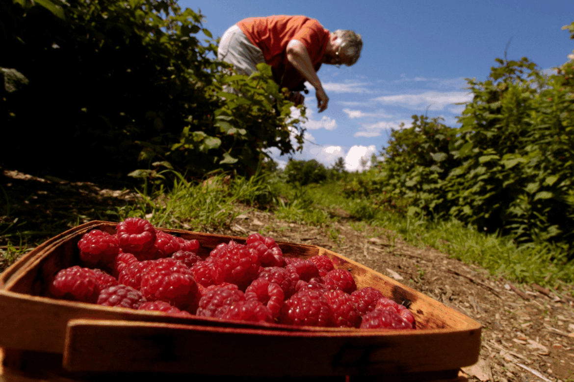 The meaner you are to these plants, the better they will grow The meaner you are to these plants, the better they will grow