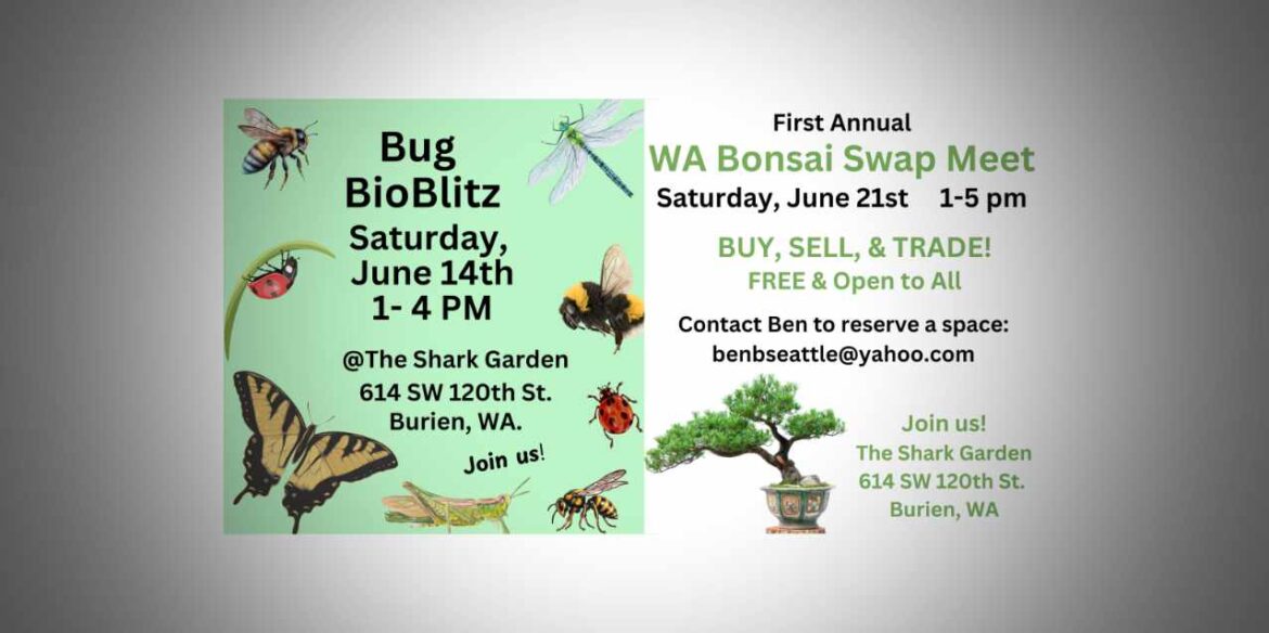 Free Bug BioBlitz and Bonsai Swap coming to Burien’s Shark Garden in June