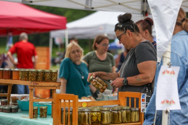 Teresa Golden of Hunlock Creek examines one of the many...