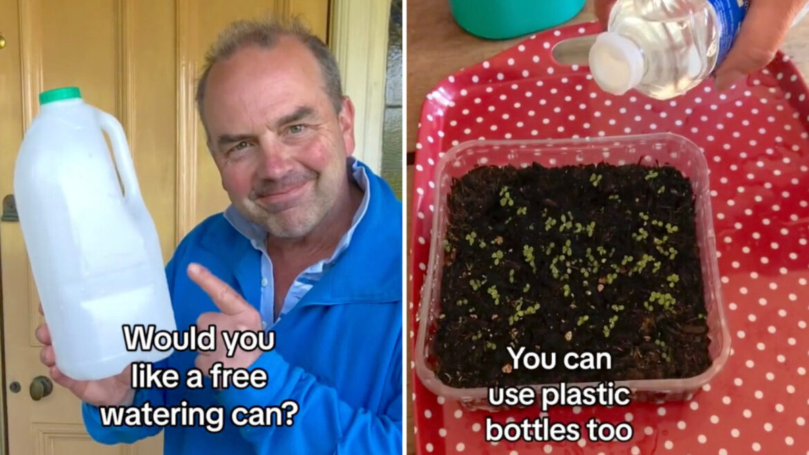 Gardener shares genius hack using old plastic containers: ‘This is brilliant’ "You've helped me so much."