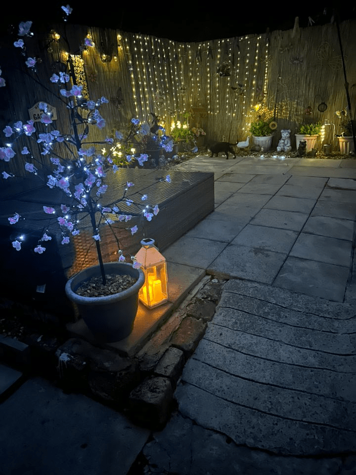 Nighttime view of a patio decorated with lights and plants.