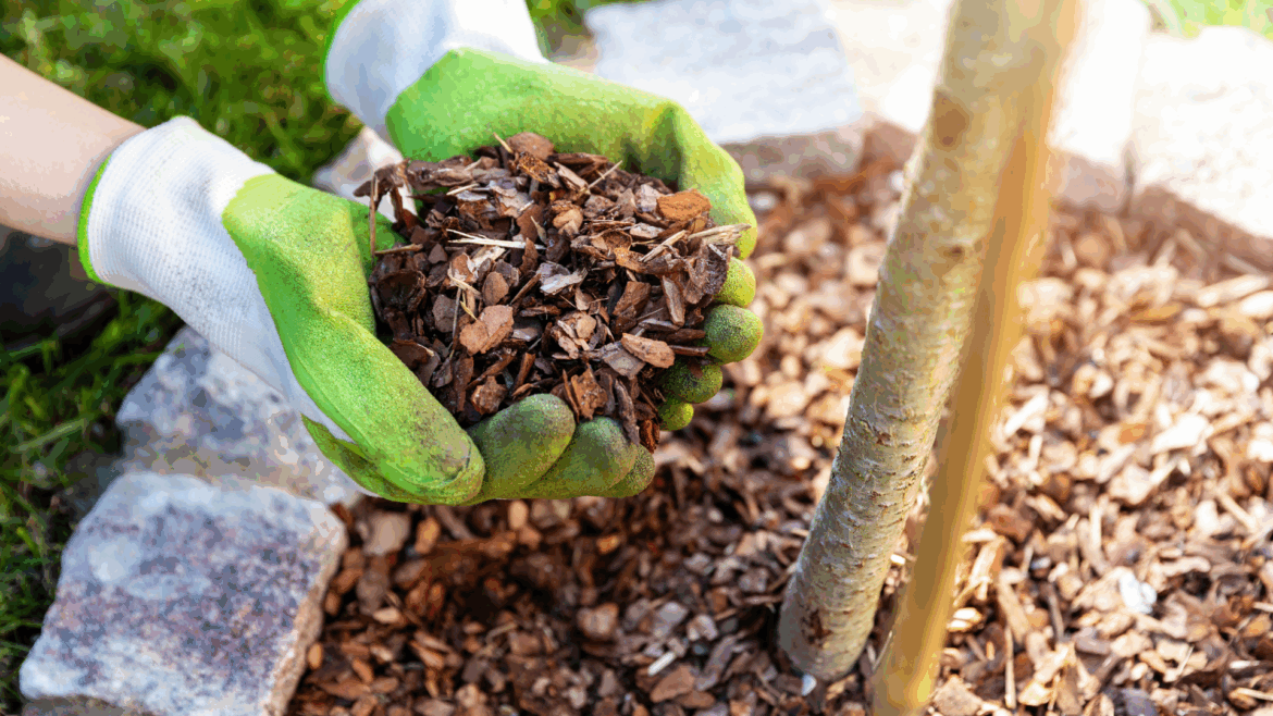 Mulch...