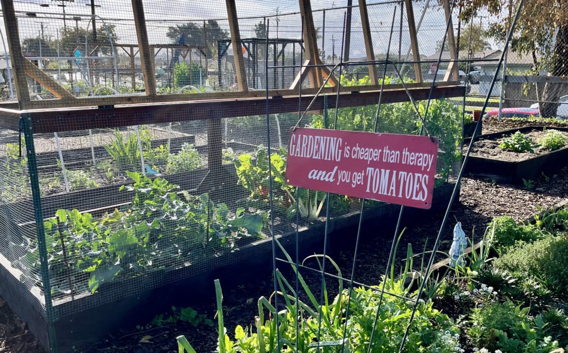 Gardening, music, and more await you this summer 