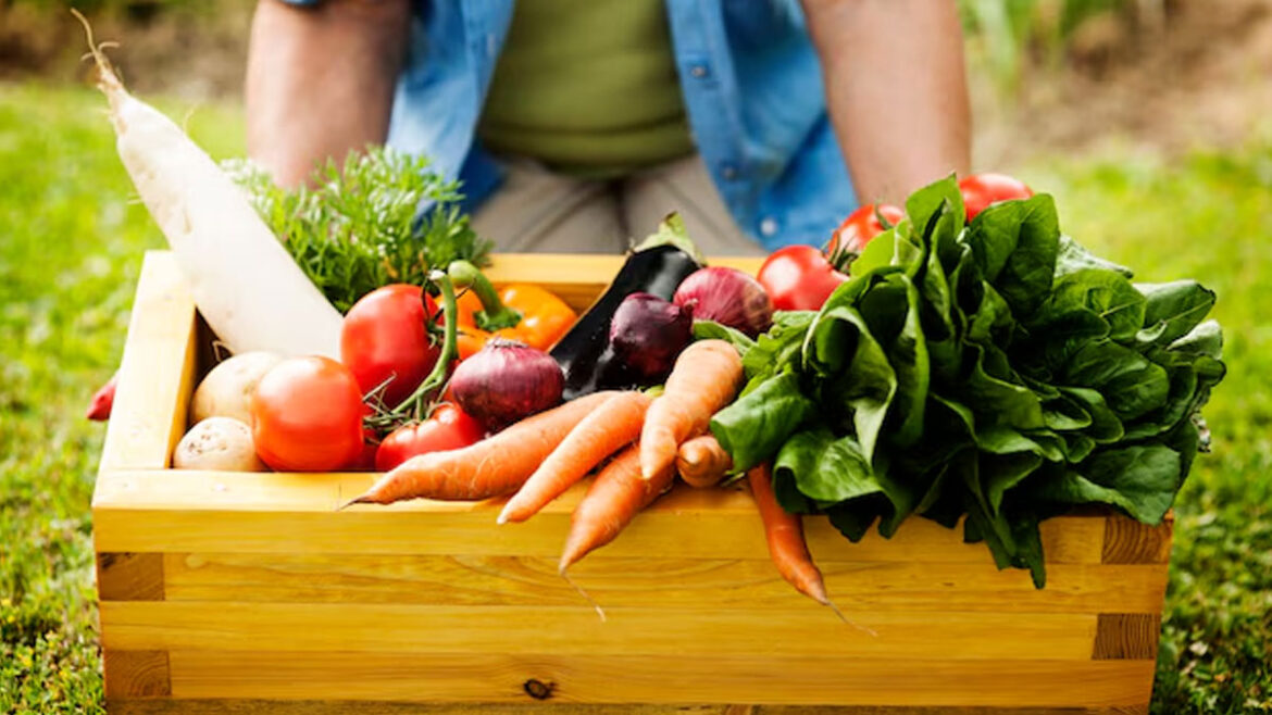 Gardening Hacks: 6 Tips To Keep Your Summer Vegetables Healthy In Hot Weather user