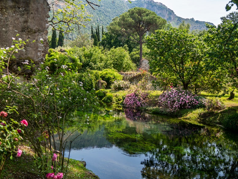 lush gardens with sparkling blue water and trees