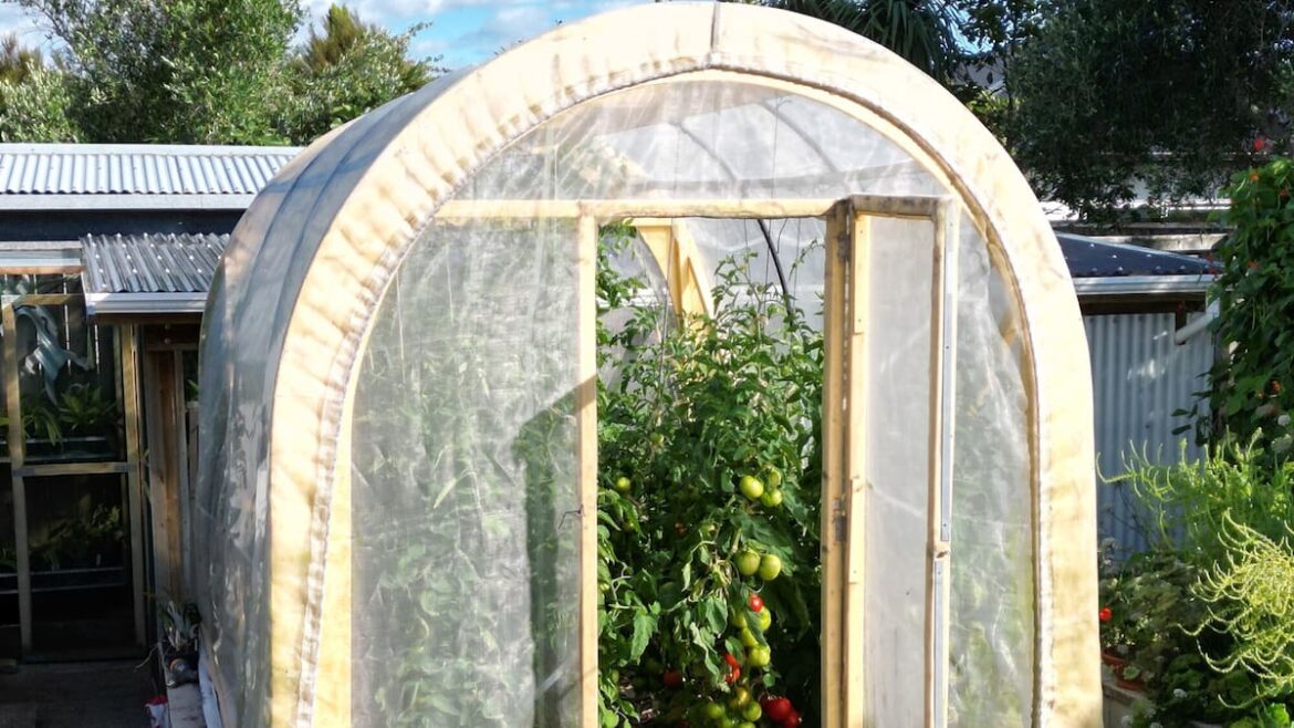 Kem Ormond’s vegetable garden: Should I get a glasshouse or a tunnel house?
