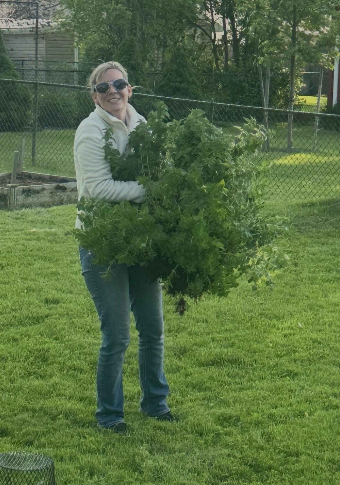 I neglected my oregano. Behold, my mighty bush!
