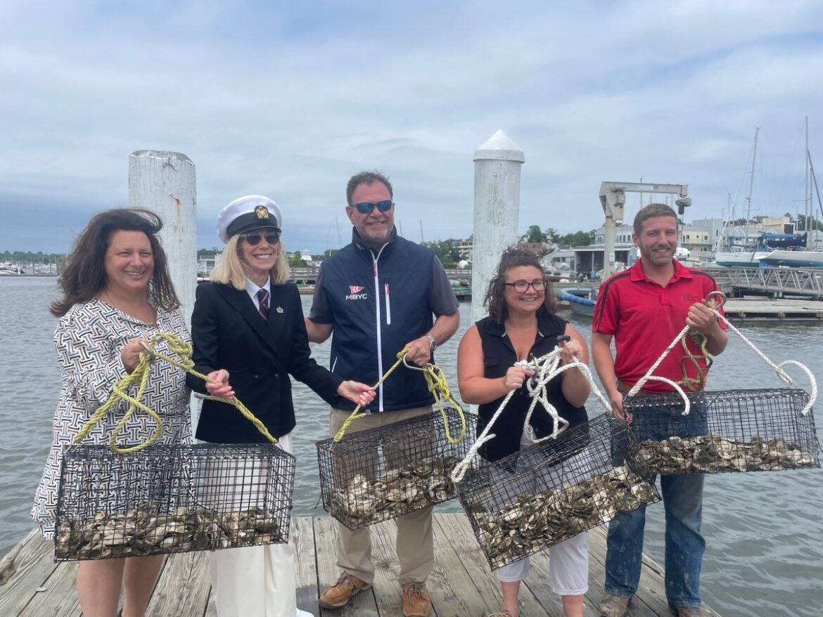 Oyster gardening season kicks off in Manhasset Bay