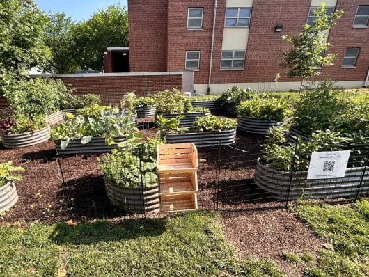 The Container Gardens at Ohio State