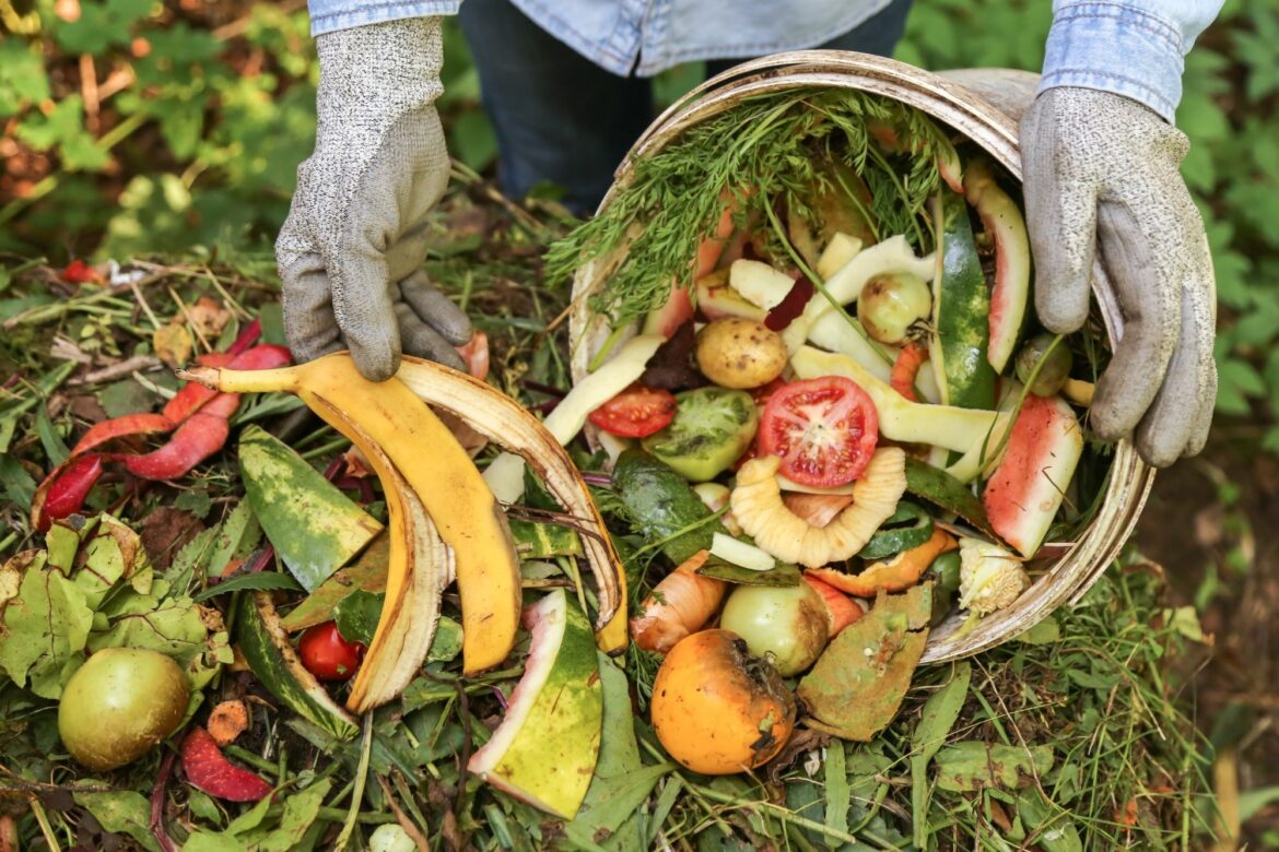How Composting Protects Public Health and Our Planet