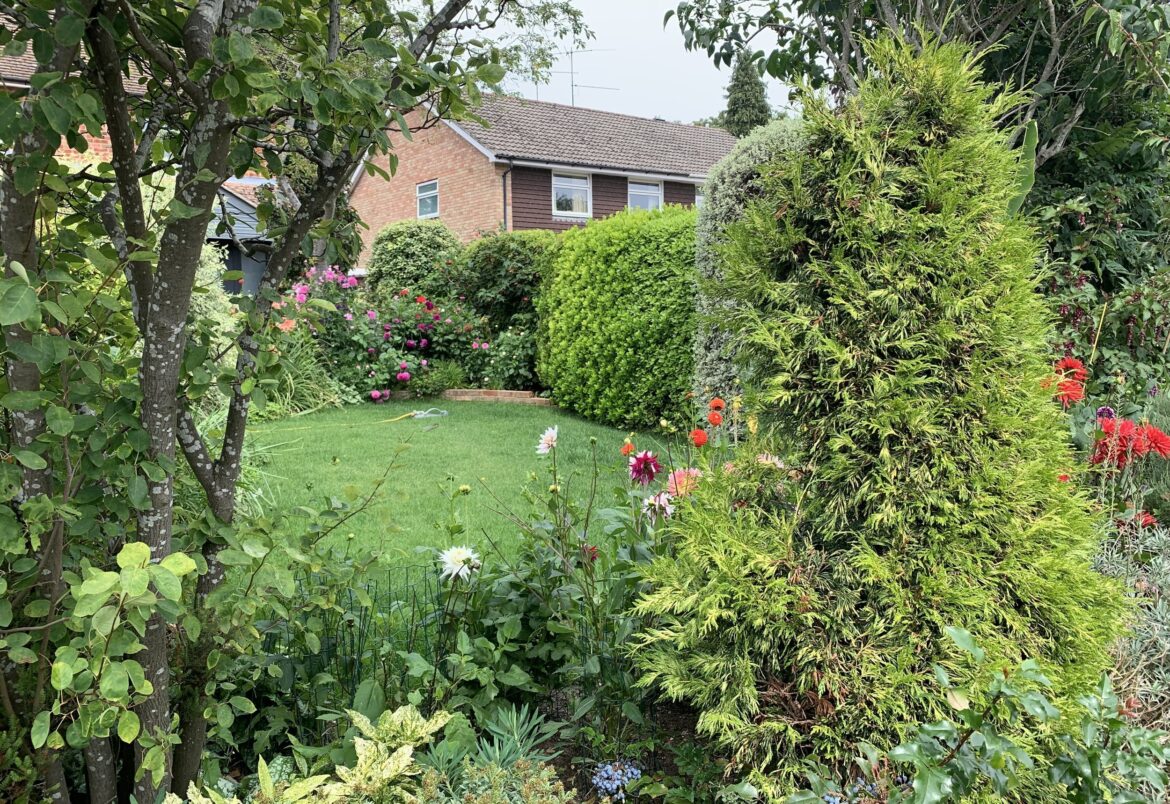 Reading in Bloom seeking glorious gardens and beautiful botany in 50th anniversary year – Reading Today Online Reading in Bloom seeking glorious gardens and beautiful botany in 50th anniversary year – Reading Today Online