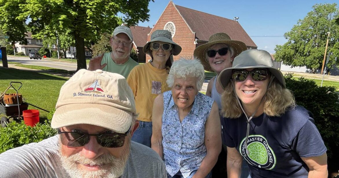 Master Gardeners mark 50 years with community projects and tours – Shaw Local