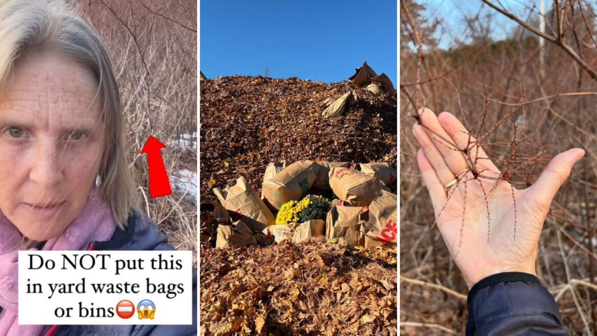 ‘Please do not spread it to other people accidentally’ "True nightmare!"