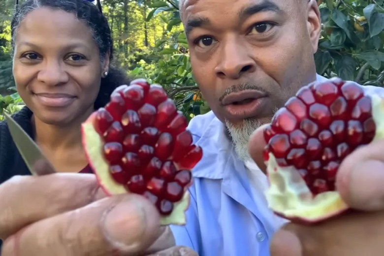 A man holds an opened pomegranate fruit as a woman looks on beside him