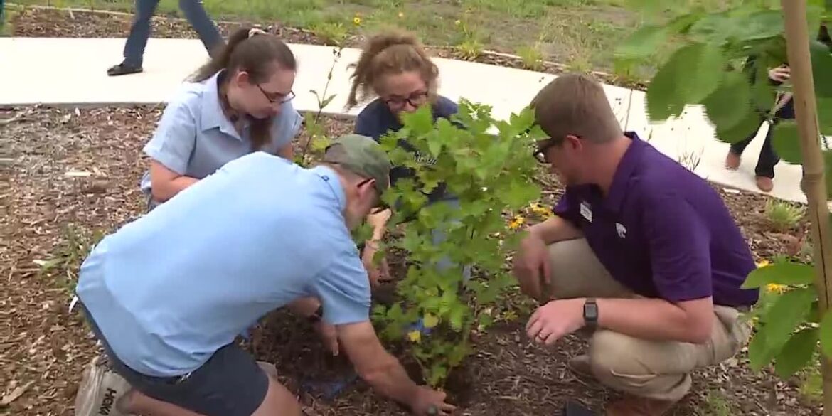 A partnership with Master Gardeners ‘bears’ two new gardens for Shawnee County A partnership with Master Gardeners ‘bears’ two new gardens for Shawnee County