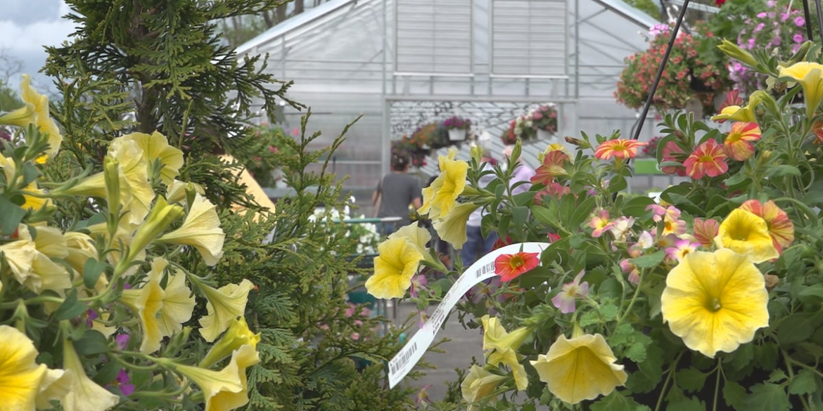 Vt.-based Gardener’s Supply files for bankruptcy