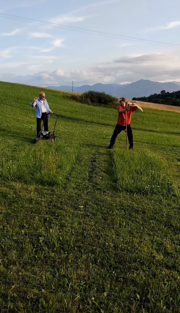 Maybe time to reconsider mower choices for small yards.