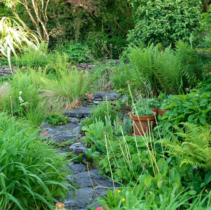 Caher Bridge Garden 