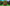 Normal Seed Pack (2).png