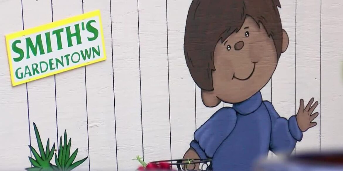 Smith’s Gardentown shares summer gardening tips to beat the heat