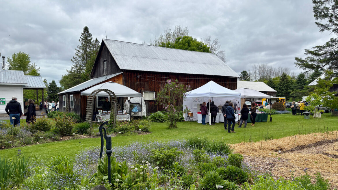 7th Annual Garden Party draws visitors to Garden Path near Vankleek Hill 7th Annual Garden Party draws visitors to Garden Path near Vankleek Hill