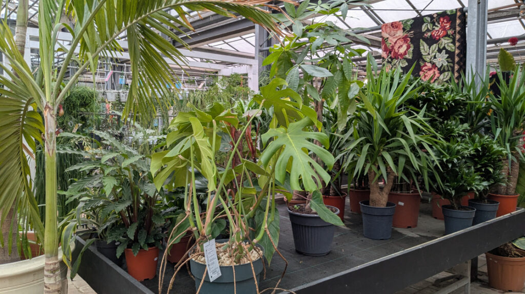 German garden retailers record firs… German garden retailers record firs...