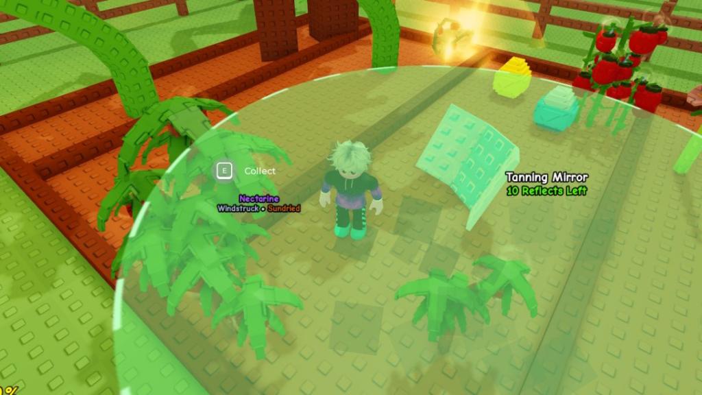 Place Tanning Mirror in Grow a Garden