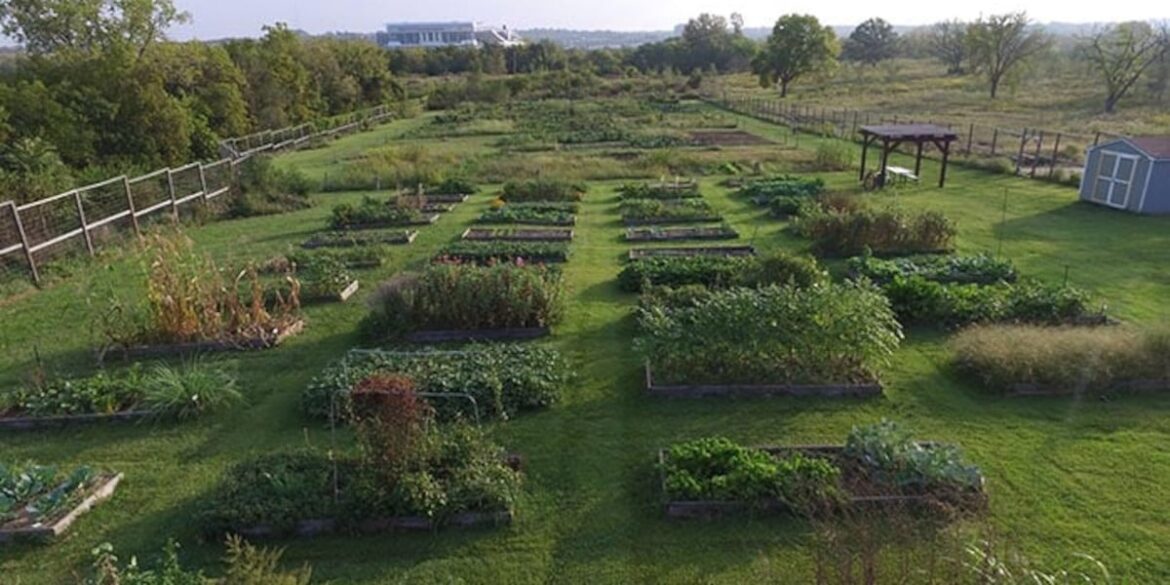 Popular liquor brand teams up with local leaders to revamp community garden