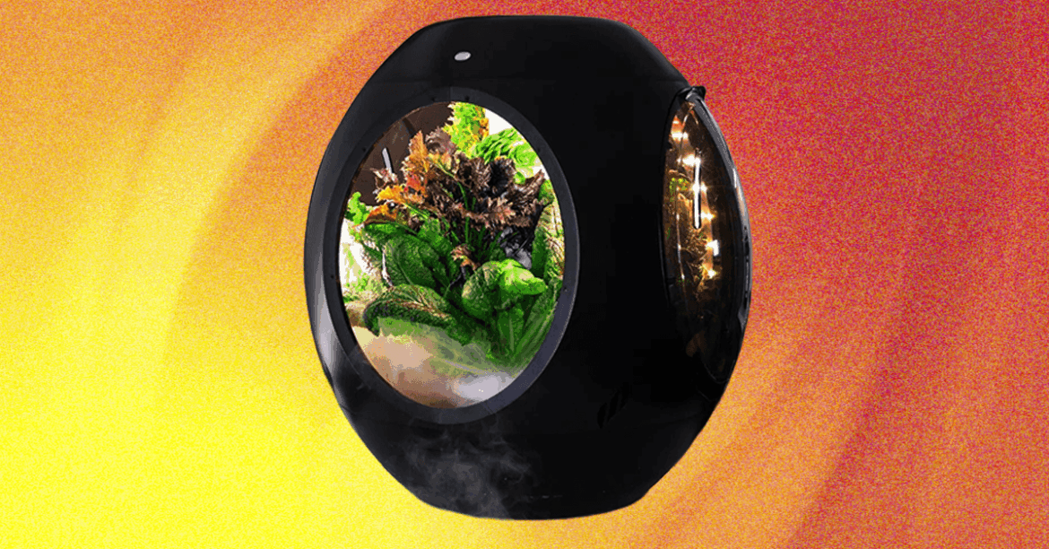 Plantaform Smart Indoor Garden Review: Rewarding but Risky Plantaform Smart Indoor Garden Review: Rewarding but Risky