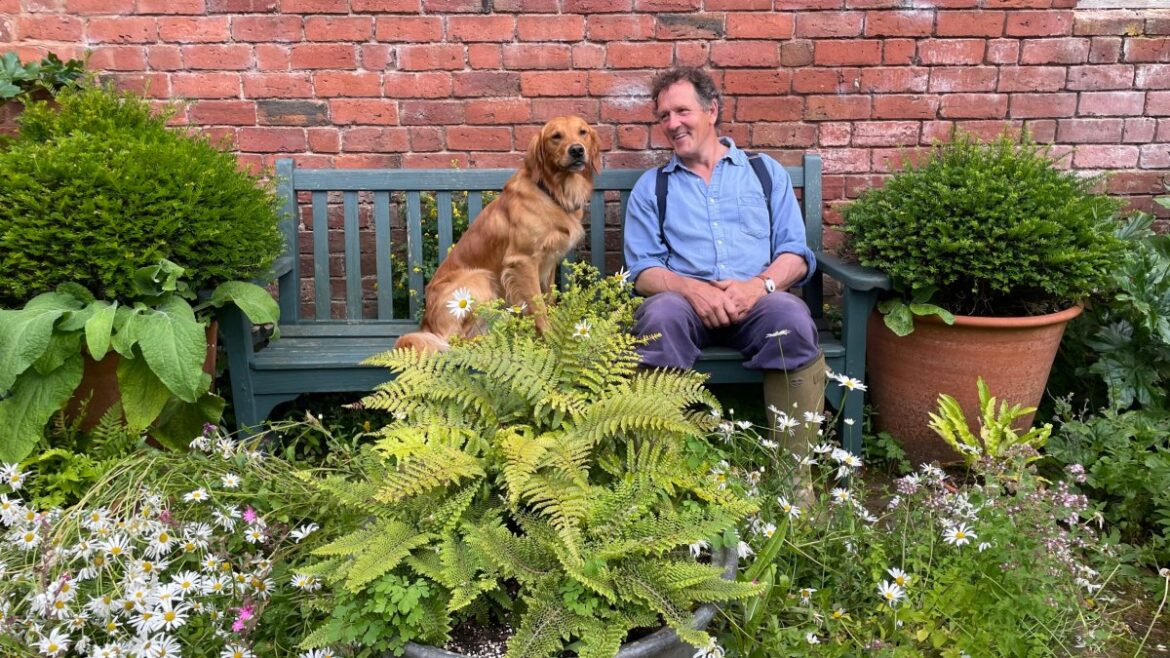 I’ve worked in reality TV for 40 years I've worked in reality TV for 40 years