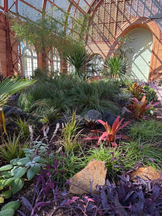 Interior garden of Botanical Building at Balboa Park, designed by Nan Sterman (Nan Sterman)