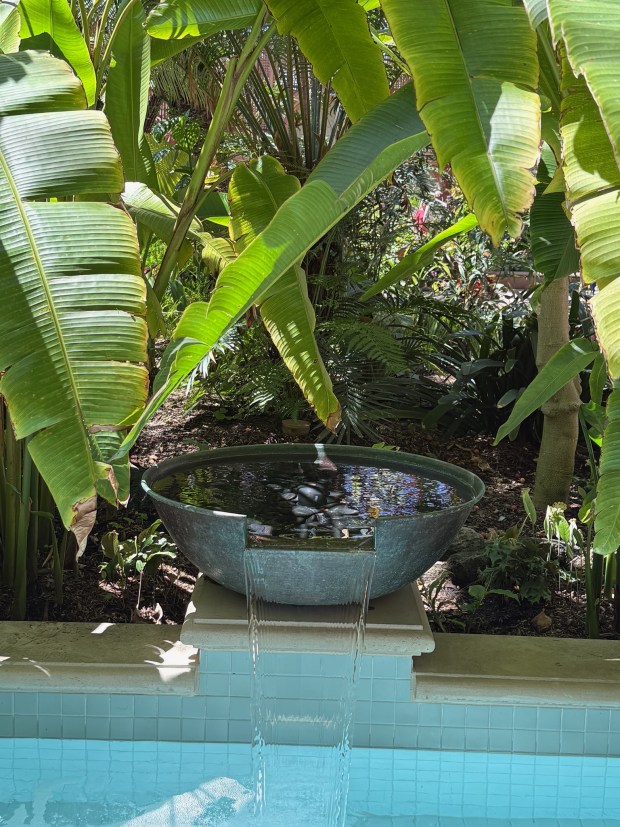 Interior garden of Botanical Building at Balboa Park, designed by Nan Sterman (Nan Sterman)