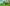 Summer Harvest Event.png