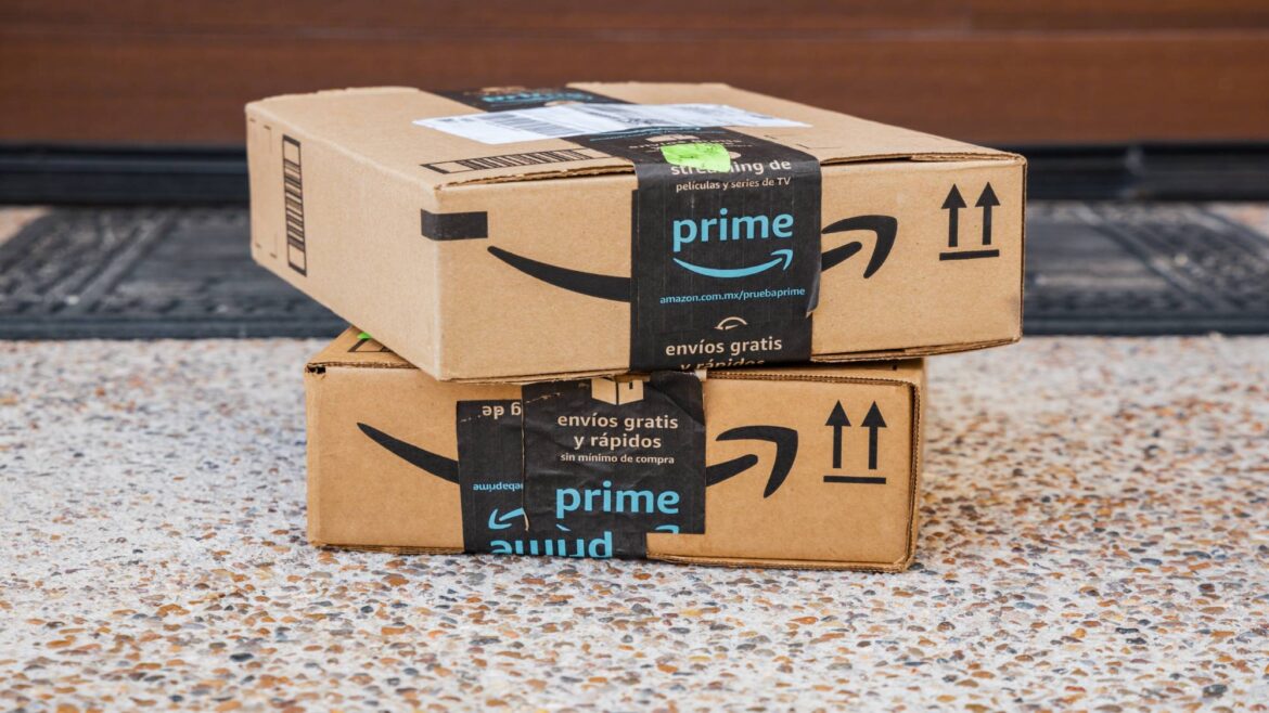 Don’t throw out your Amazon boxes! This money saving gardening hack is an absolute game changer Amazon Prime boxes