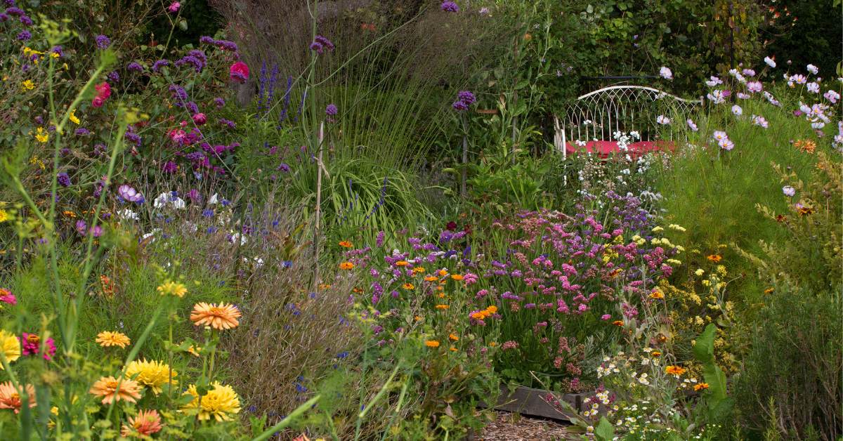 Not every part of a garden has to be neat. Leaving a few wild corners with leaf litter, logs, or thick shrubs can provide nesting and hiding spots for frogs and other animals.