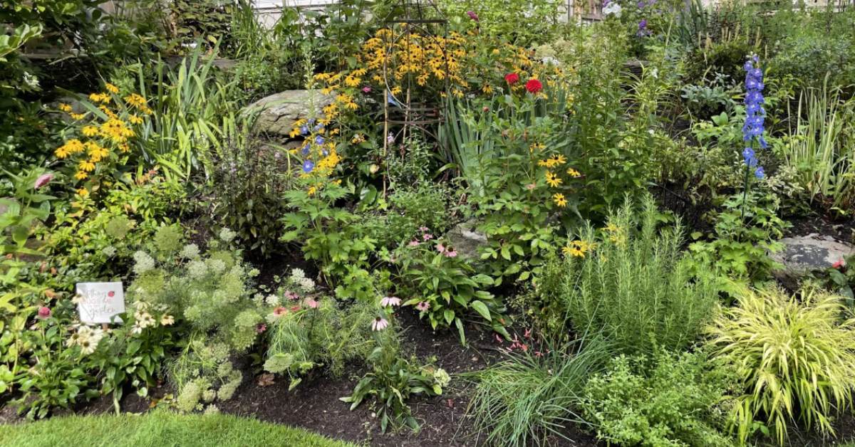 Layering with different kinds of plants, different techniques and lengths, can help in attracting a varied crowd of wildlife. 