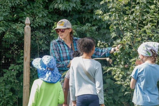 Children sit under an apple tree listening to Katie Taylor, the farmer manager of Easton Urban Farm, on Monday, June 30, 2025, in Easton. Easton Urban Farm invited children ages 5-10 for a tour of the garden, an opportunity to pick raspberries and an art session to paint a gazebo. The nonprofit, which is connected to the Neighborhood Center's Food Pantry, supplies fresh produce to low-income families. (Oliver Lois Economidis/The Morning Call)