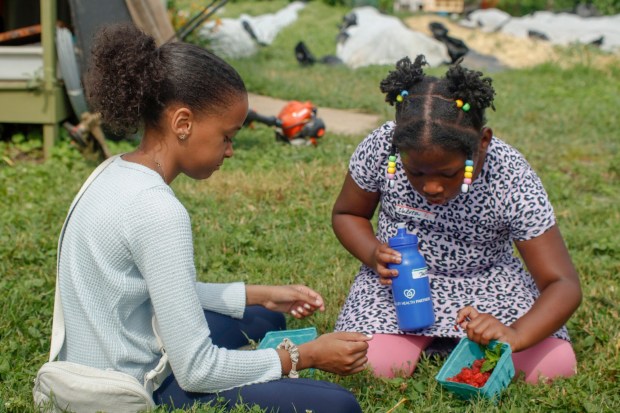 Children pick and eat raspberries Monday, June 30, 2025, at the Easton Urban Farm. The nonprofit, which supplies fresh produce to low-income families, invited children ages 5-10 for a tour of the garden, an opportunity to pick raspberries and an art session to paint a gazebo. (Oliver Lois Economidis/The Morning Call)