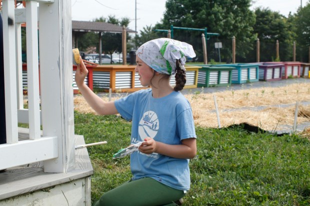 Children, staff and parents work together to paint the Easton Urban Farm's gazebo Monday, June 30, 2025. The nonprofit, which supplies fresh produce to low-income families, invited children ages 5-10 for a tour of the garden, an opportunity to pick raspberries and an art session to paint the gazebo. (Oliver Lois Economidis/The Morning Call)
