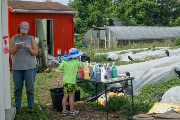Children, staff and parents work together to paint the Easton Urban Farm's gazebo Monday, June 30, 2025. The nonprofit, which supplies fresh produce to low-income families, invited children ages 5-10 for a tour of the garden, an opportunity to pick raspberries and an art session to paint the gazebo. (Oliver Lois Economidis/The Morning Call)