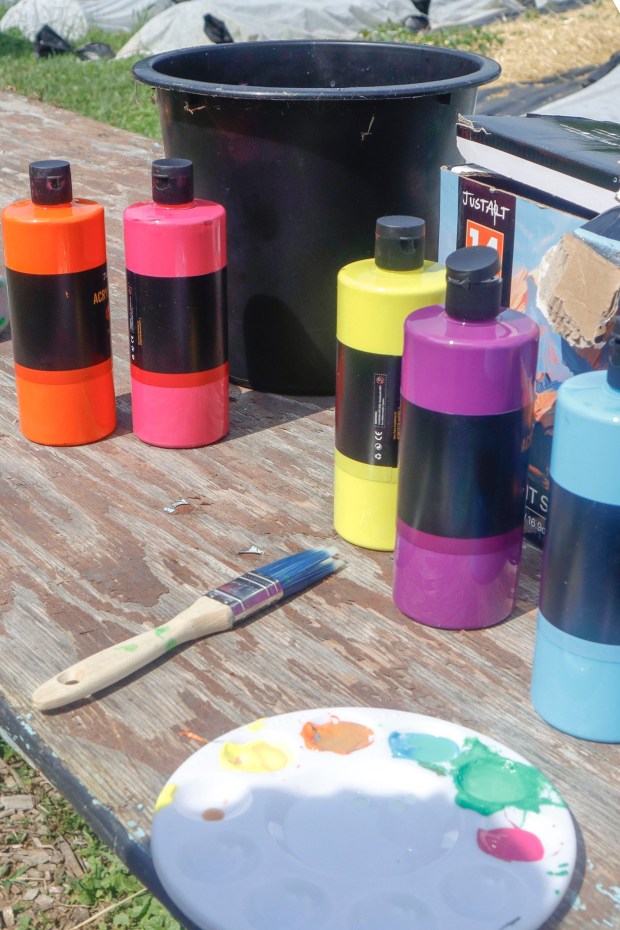 Children, staff and parents work together to paint the Easton Urban Farm's gazebo Monday, June 30, 2025. The nonprofit, which supplies fresh produce to low-income families, invited children ages 5-10 for a tour of the garden, an opportunity to pick raspberries and an art session to paint the gazebo. (Oliver Lois Economidis/The Morning Call)