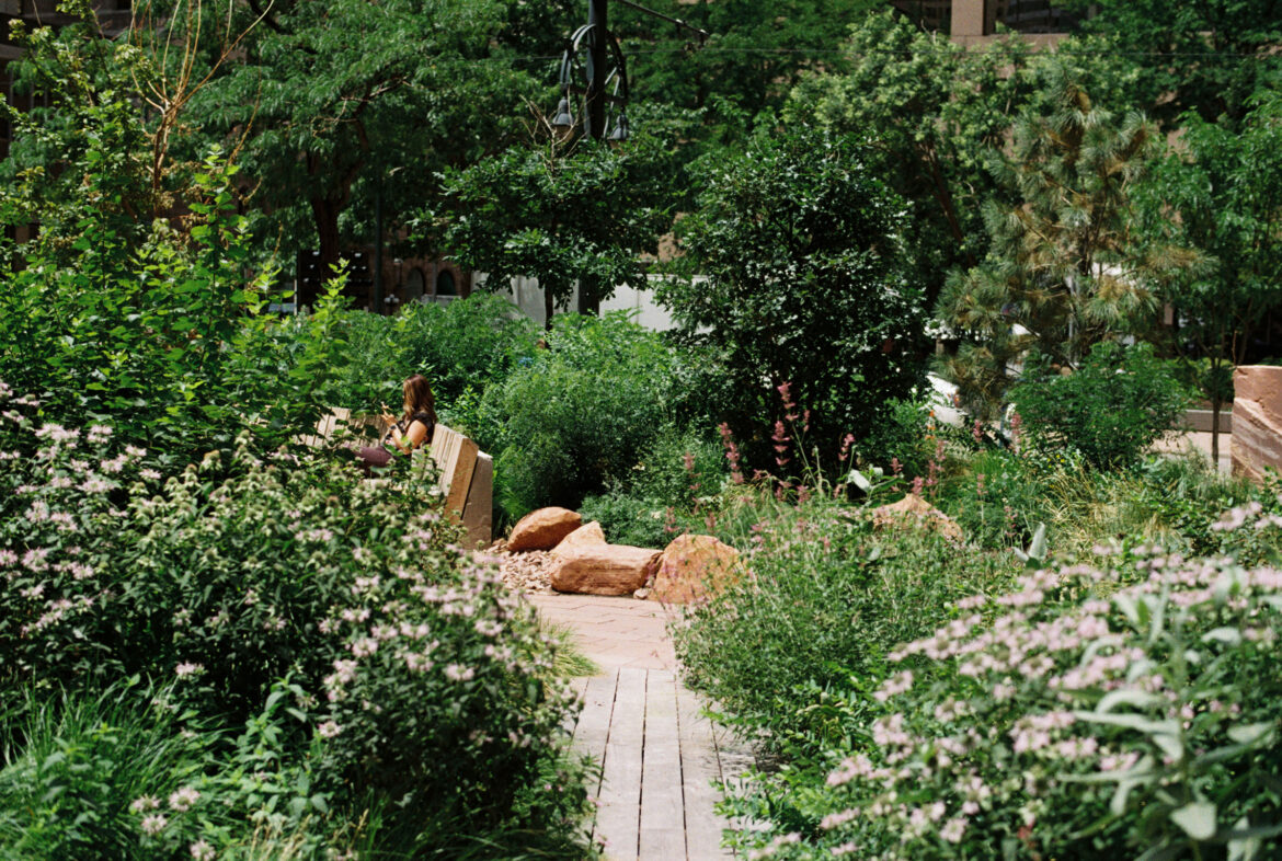 Landscape architecture is broken – this is how to fix our parks and gardens Landscape architecture is broken – this is how to fix our parks and gardens