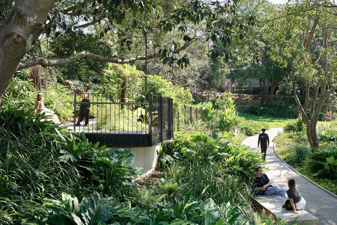 The University of Queensland Ampitheatre, Hassell, Photography - Scott Burrows.jpg