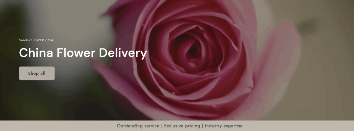 Top 10 Best Websites to Send Flowers in Shanghai: An…