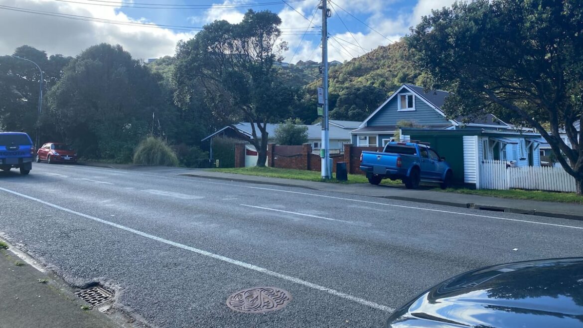 Police investigation launched after human remains found in Wellington garden