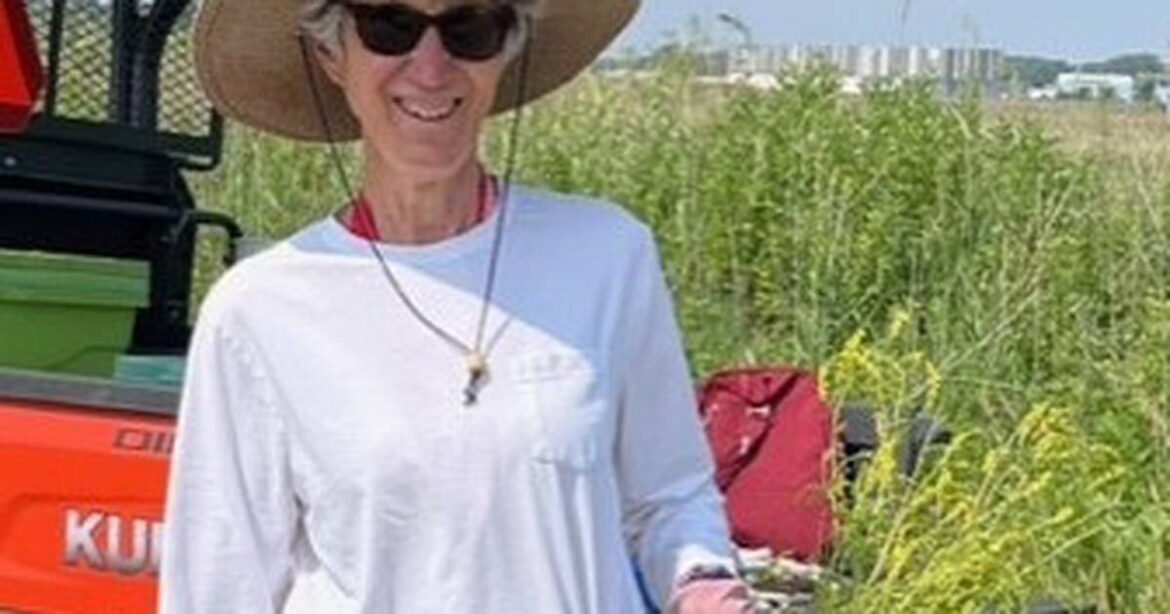 Veggie garden inspiration – Shaw Local