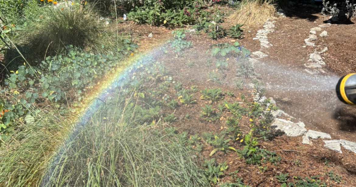 USC Peace Garden cultivates community for students, residents – Annenberg Media
